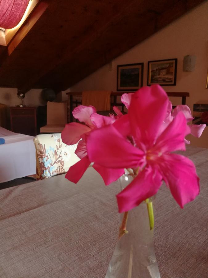 La Calletta Rovinj Eksteriør bilde